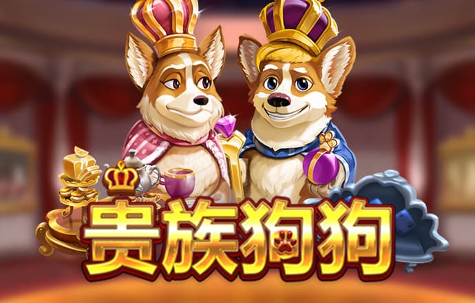 bwin体育必赢官网